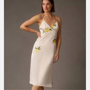 Anthropologie dress size small
Only worn 1x like new